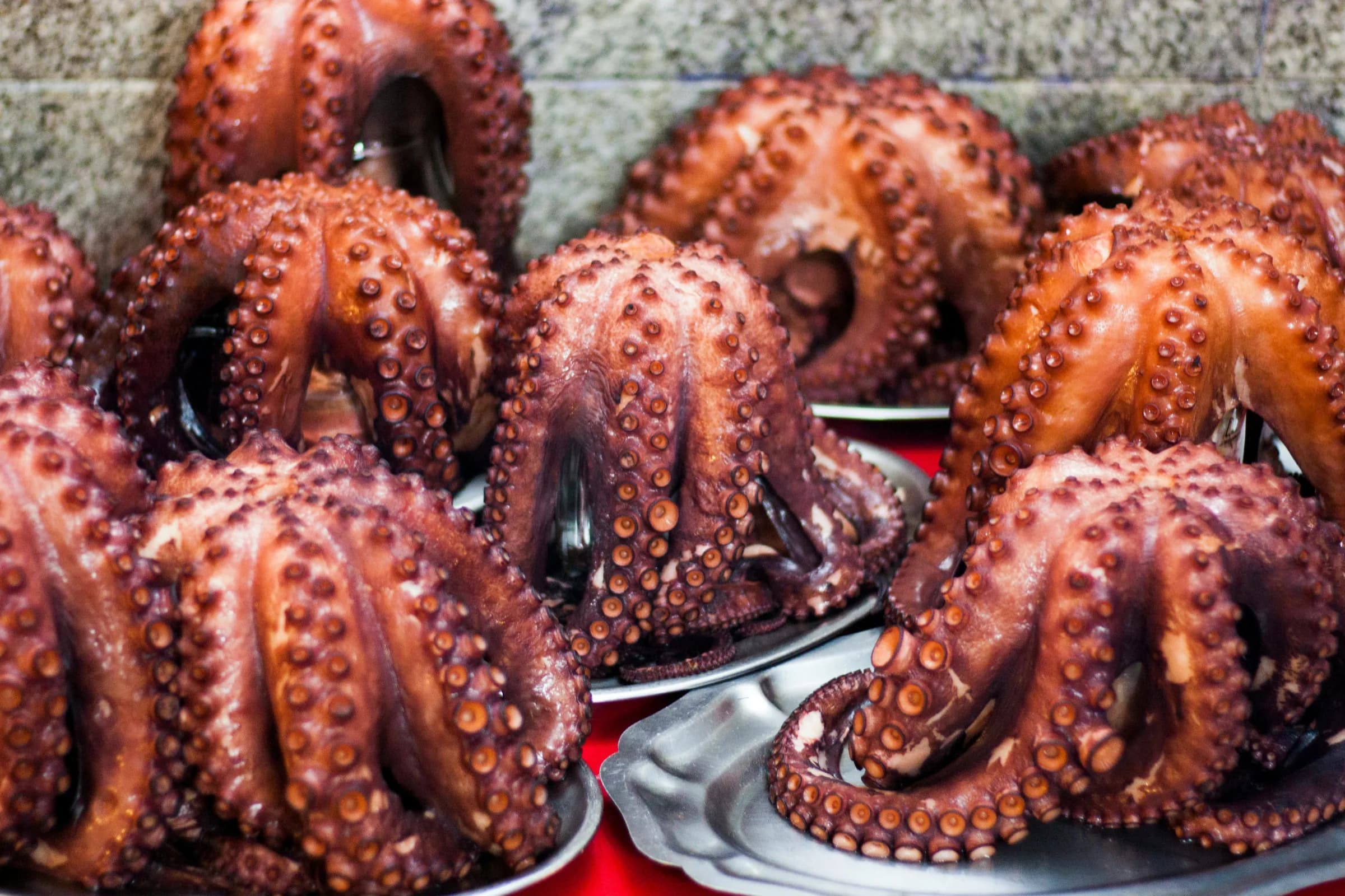 Taste Galicia: Discovering Spain’s Famous Pulpo á Feira