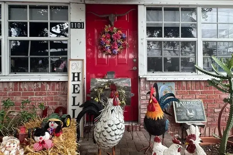 From Backyard to Bucket List: The Story of Regina’s Farm